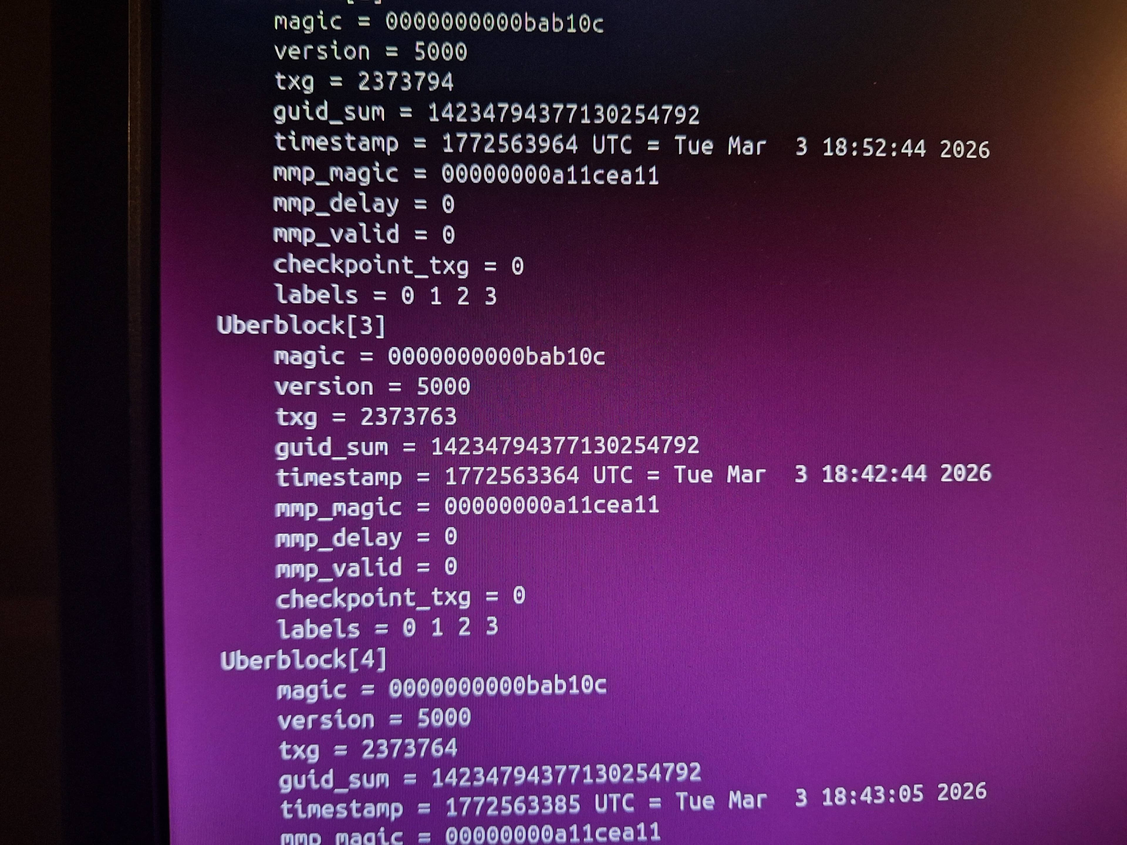 Surviving rm -rf *: How ZFS Copy-on-Write Saved My Home Directory
